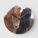 Pesquisar por cabeça cavalo de relogios de parede Animal