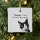 Pesquisar por gatinho preto ornamentos Miado