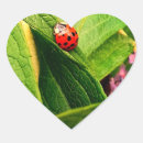Pesquisar por ladybird adesivos Natureza