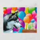 Pesquisar por husky siberiano cartoes Preto e branco