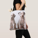 Pesquisar por dalmatian bolsas Animais de estimação