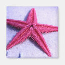 Pesquisar por continentes imas Animal