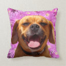 Pesquisar por caniche lar decoração Cães