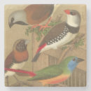 Pesquisar por pet porta copos Pássaro