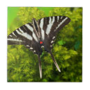 Pesquisar por da borboleta azulejos Branco