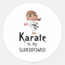 Pesquisar por karate adesivos Karatê