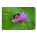 Pesquisar por amizade imas Amigo