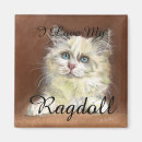 Pesquisar por ragdoll imas Animal de estimação
