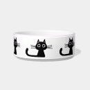 Pesquisar por felines For pets