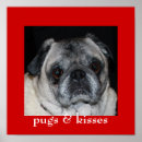 Pesquisar por pug fotografia Arte