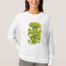 Pesquisar por objeto natural Plantas
