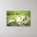 Pesquisar por leoa impressão de canvas Vida selvagem
