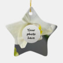Pesquisar por orquídeas brancas ornamentos Flor