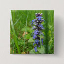 Pesquisar por flor violeta botons Roxo