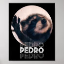 Pesquisar por internet pôsteres Gatinho