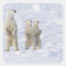 Pesquisar por churchill adesivos Inverno