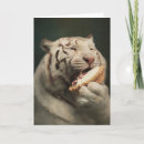 Pesquisar por tigre engraçado cartoes De saudação de tigre