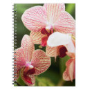 Pesquisar por school days cadernos de notas Color image