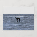 Pesquisar por de surf cartoes postais Surfista