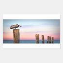 Pesquisar por pelican adesivos Praia