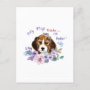 Pesquisar por cães engraçados dos gatos engraçados cartoes postais Cão