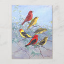 Pesquisar por escaravelho cartoes postais Ilustração