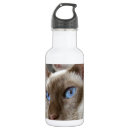 Pesquisar por família garrafa agua Animais