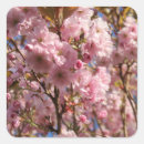 Pesquisar por primavera adesivos Cor