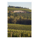 Pesquisar por pinot noir pôsteres Vinícola