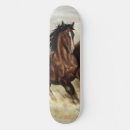 Pesquisar por asas skates Cavalo