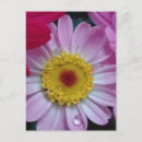 Pesquisar por botanicals cartoes postais Qualquer pessoa