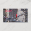 Pesquisar por norte americano cartao de visita Pássaro