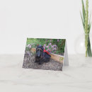 Pesquisar por insetos cartoes Humor