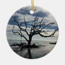 Pesquisar por geórgia ornamentos Georgia