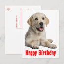 Pesquisar por amante labrador cartoes Canino
