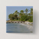 Pesquisar por caribe botons Tropical