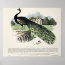 Pesquisar por não inglês pósteres pôsteres Litógrafo