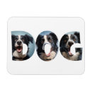 Pesquisar por cachorro quente imas Fofofo