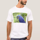 Pesquisar por arara roupas Selvagem
