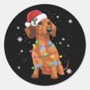 Pesquisar por dachshunds adesivos Amante de dachshund