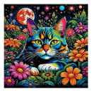 Pesquisar por gatos na noite artes pôsteres Estrelas