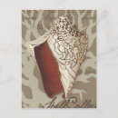 Pesquisar por conchas cartoes postais Litoral