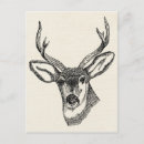 Pesquisar por cervo cartoes postais Antigo