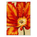 Pesquisar por tulipa papagaio cartoes postais Tropicais