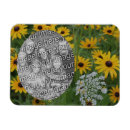 Pesquisar por quadro negro imas Foto