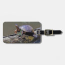 Pesquisar por turtle bagagem tags Animal