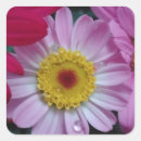 Pesquisar por flores amarelas adesivos Qualquer pessoa