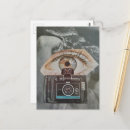 Pesquisar por ano do cobra cartoes postais Natureza