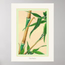 Pesquisar por japanese vintage pôsteres Antique