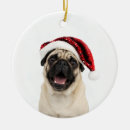 Pesquisar por pug ornamentos Fofo